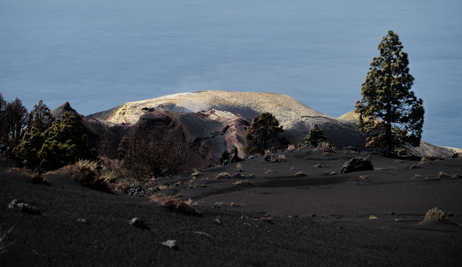 a snow covered mountain with trees in the foreground